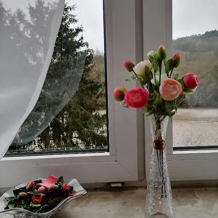 Nr 4 Direkt Am Waldeck (Hessen)